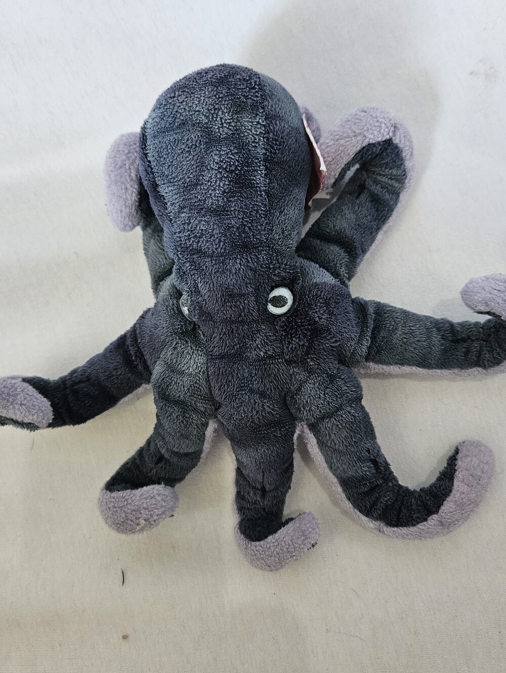 Special Edition for Four Seasons: Winky the Octopus